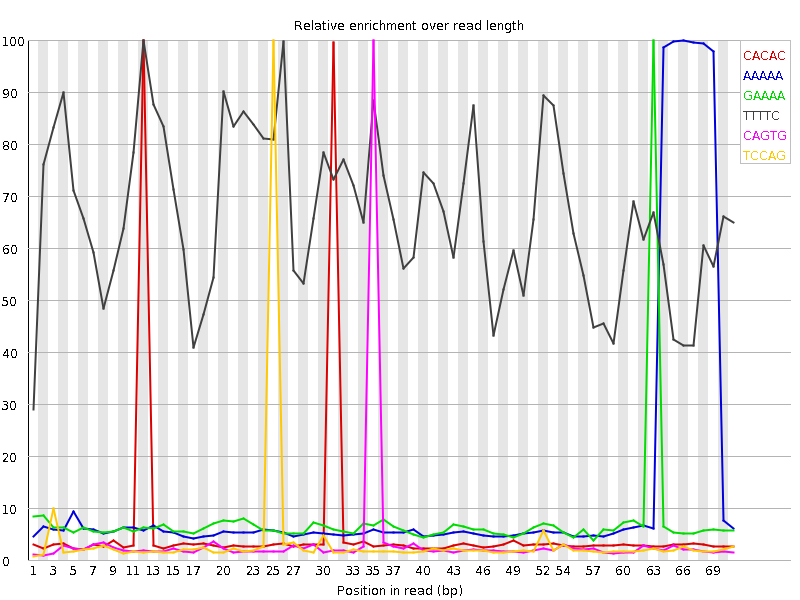 Kmer graph